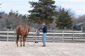 LR-WRF 0402026 Retreat-3166